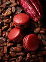 パティシエ エス コヤマの25年バレンタイン、“産地別カカオ”を食べ比べできるマカロンアソート｜写真6