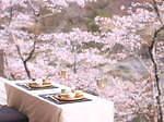星のや京都“貸し切り花桜テラス”で嵐山のお花見滞在プラン、特別ディナー＆スイーツも｜写真9
