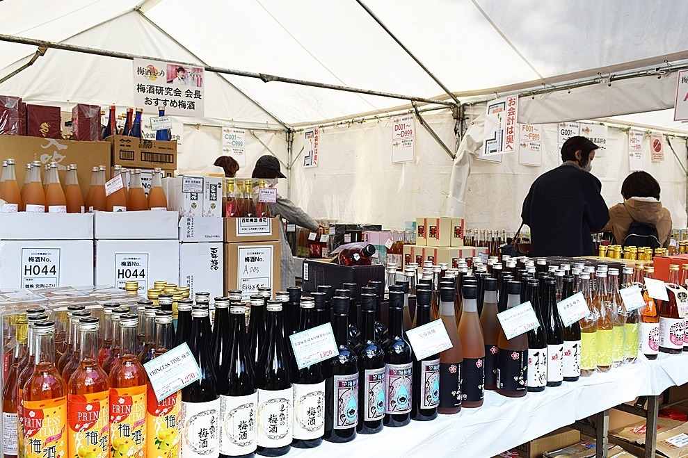 獺祭｜「全国梅酒まつりin水戸2025」茨城・常磐神社に全国111種類以上が集結、30分飲み比べも