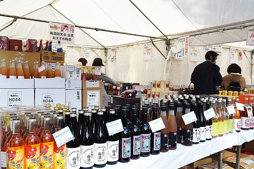 「全国梅酒まつりin水戸2025」茨城・常磐神社に全国111種類以上が集結、30分飲み比べも｜写真2