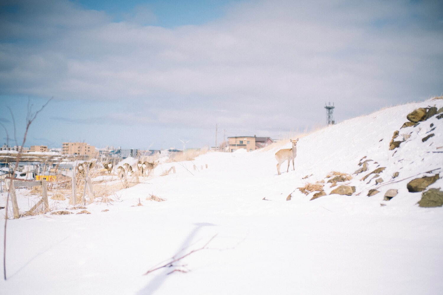 スノーピーク(Snow Peak) 2024-25年秋冬ウィメンズ&メンズコレクション ディテール - 写真15