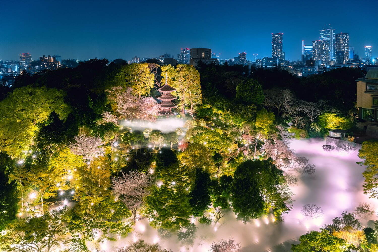 東京都内のおでかけイベント【2025年春】週末の日帰り旅行や春休みの観光におすすめの人気スポット | 写真