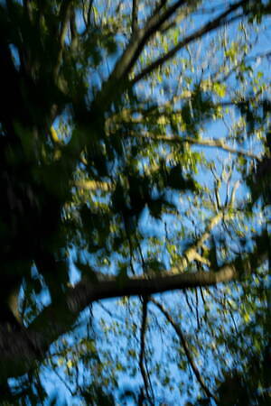 ユニフォーム エクスペリメント(uniform experiment) 2025年春夏メンズコレクション  - 写真22