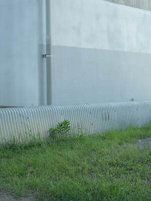 アルテリア(ULTERIOR) 2025年春夏メンズコレクション  - 写真6