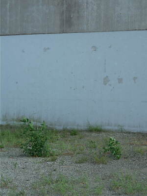 アルテリア(ULTERIOR) 2025年春夏メンズコレクション  - 写真15