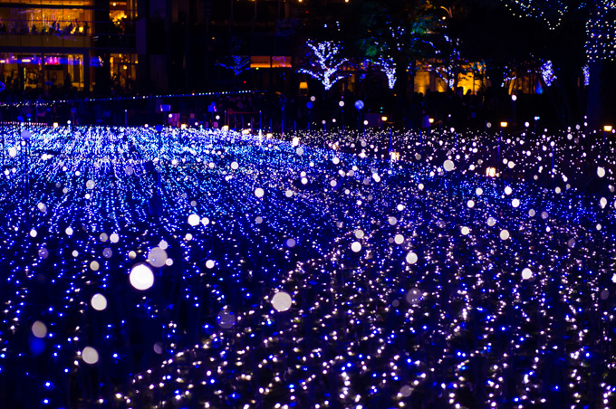 東京ミッドタウン全体を幻想的に彩る2014年クリスマスイルミネーション | 写真