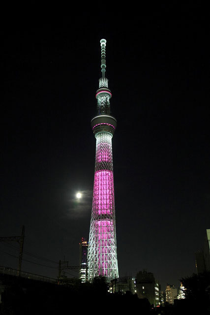 東京タワー スカイツリー 清水寺がピンクにライトアップ ピンクリボン イルミネーション ファッションプレス
