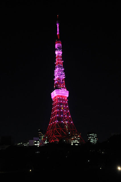 東京タワー、スカイツリー、清水寺がピンクにライトアップ「ピンクリボン イルミネーション」｜写真3