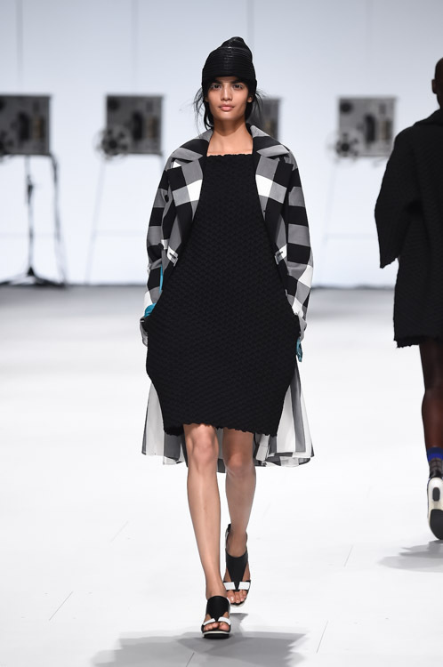 イッセイ ミヤケ(ISSEY MIYAKE) 2015年春夏ウィメンズコレクション  - 写真57