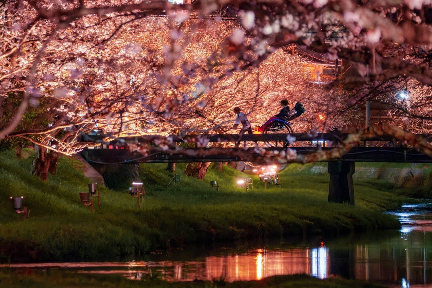 「全国の桜名所＆桜まつり2025」東京・大阪・京都などの花見スポット＆開花時期の春イベント｜写真8