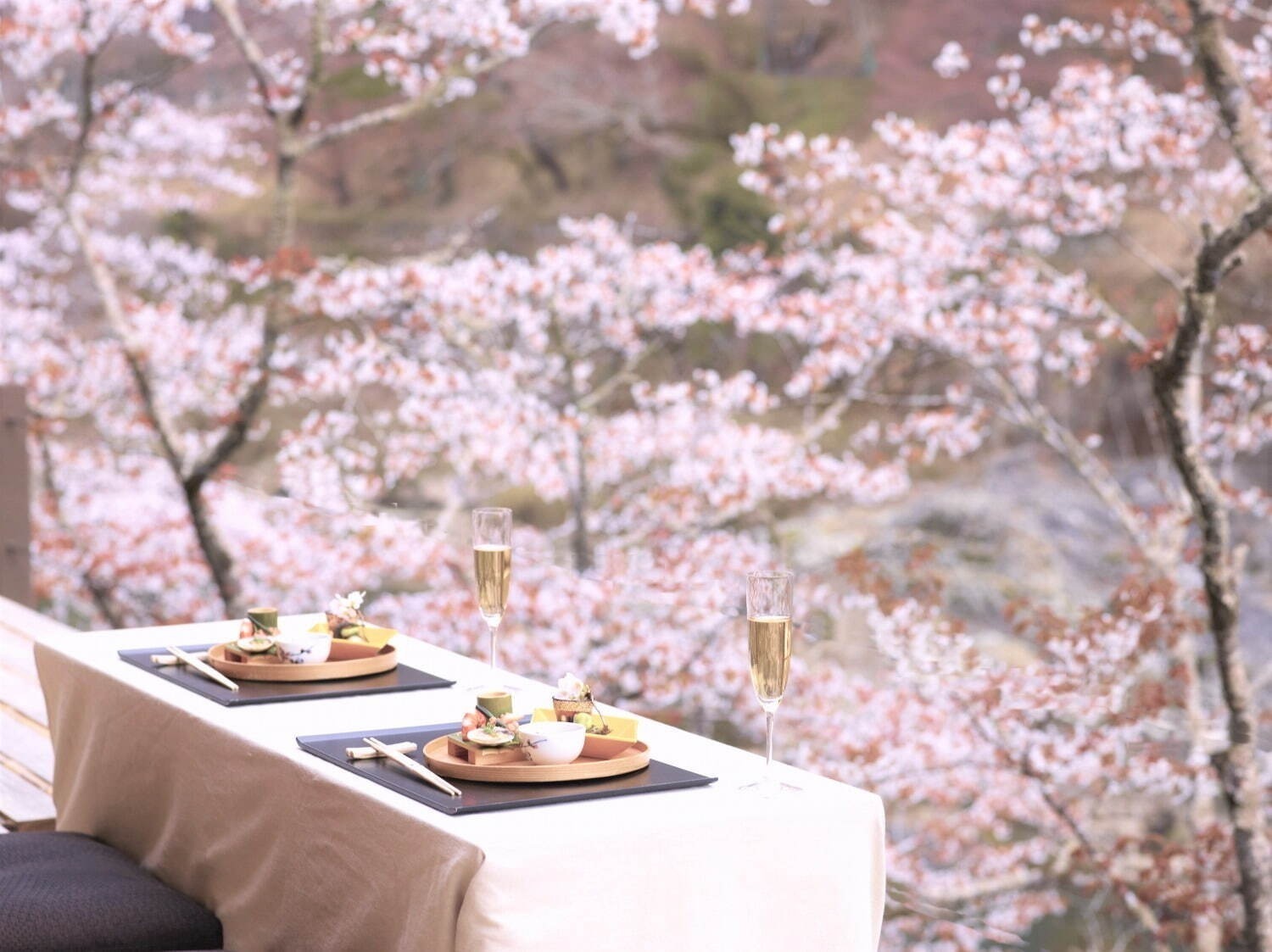 「全国の桜名所＆桜まつり2025」東京・大阪・京都などの花見スポット＆開花時期の春イベント｜写真9