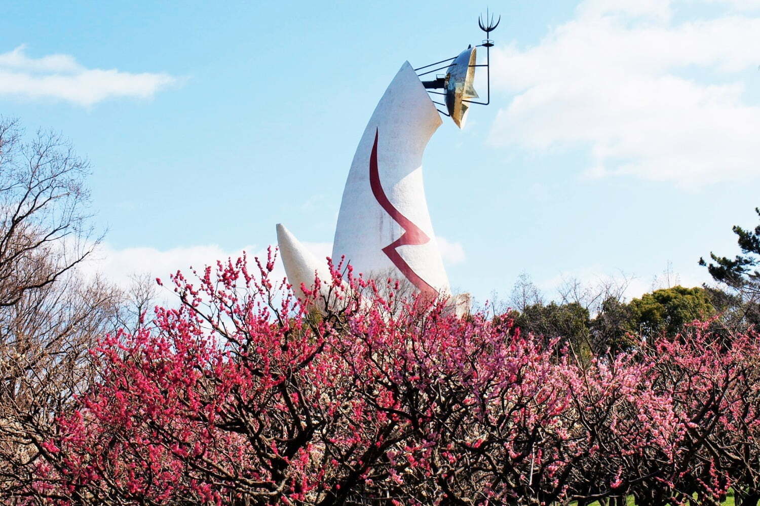ワークショップ｜大阪・万博記念公園「梅まつり」約680本の梅が開花、チョーヤコラボの“利き梅酒”や梅スイーツも