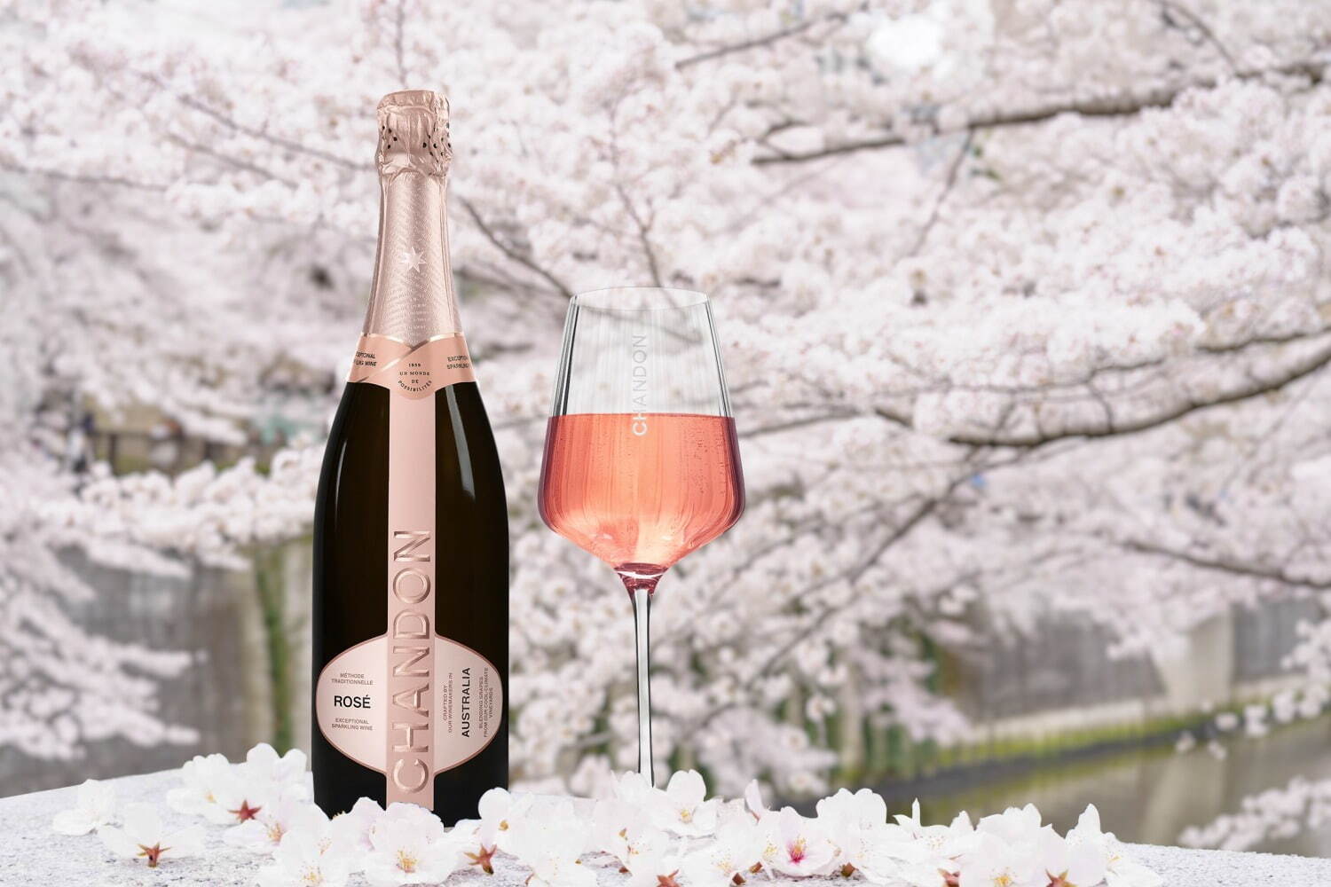 目黒川の花見クルーズ、さくら約800本の絶景とスパークリングワイン「シャンドン ロゼ」を楽しむ｜写真2
