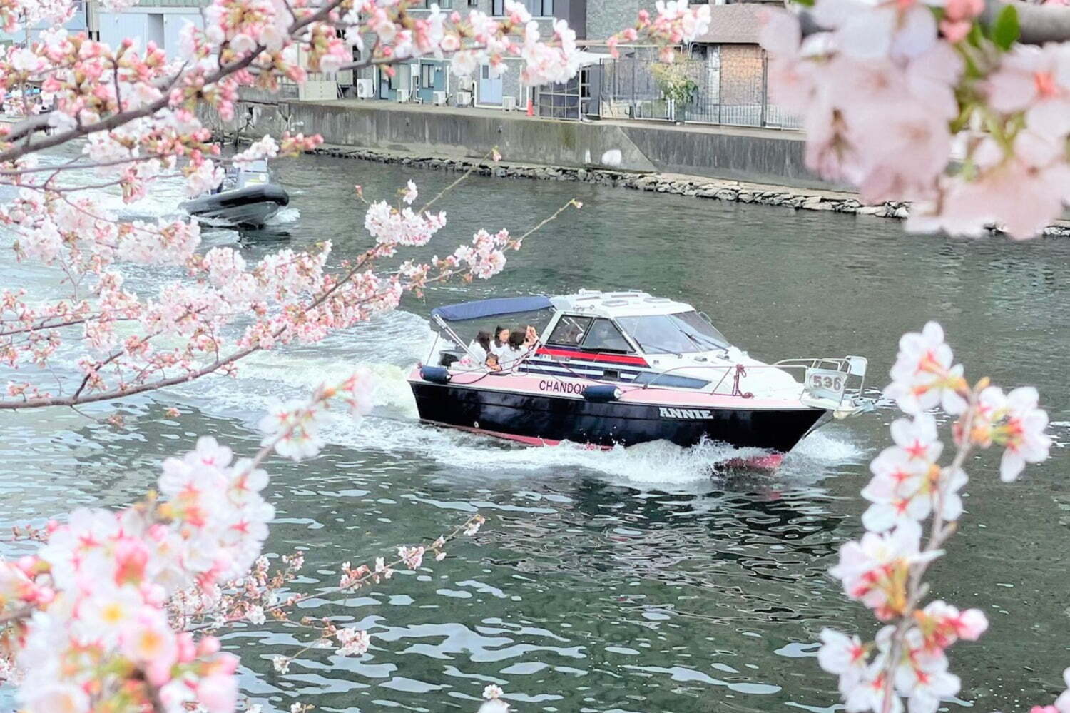 「シャンドン ロゼ」