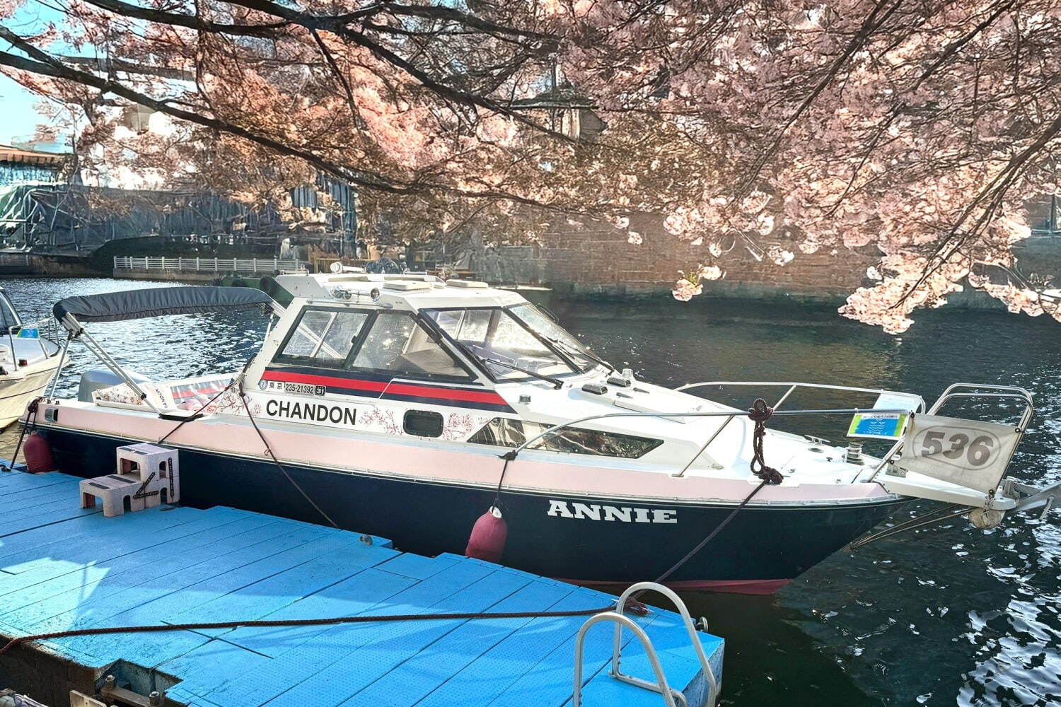 目黒川の花見クルーズ、さくら約800本の絶景とスパークリングワイン「シャンドン ロゼ」を楽しむ｜写真3
