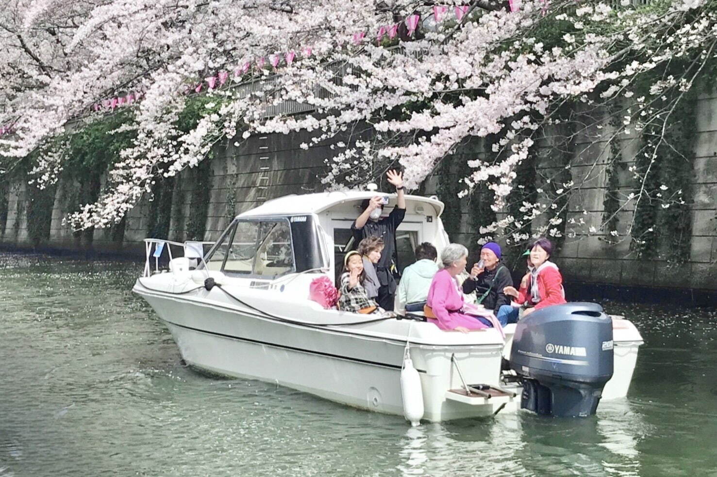 目黒川の花見クルーズ、さくら約800本の絶景とスパークリングワイン「シャンドン ロゼ」を楽しむ｜写真5
