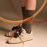 ミュウミュウ(MIU MIU) ボー｜写真16