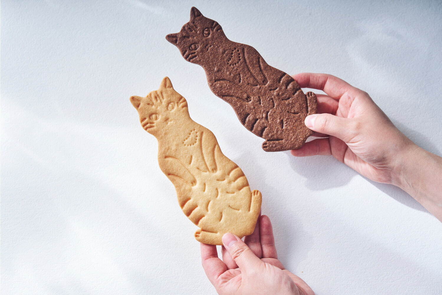 フェアリーケーキフェアの“猫”スイーツ、発酵バター＆濃厚カカオの猫型クッキーやチョコレート缶｜写真6