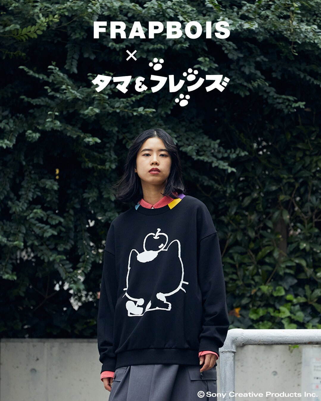 フラボア×「タマ＆フレンズ」初コラボ、「タマ」の後ろ姿