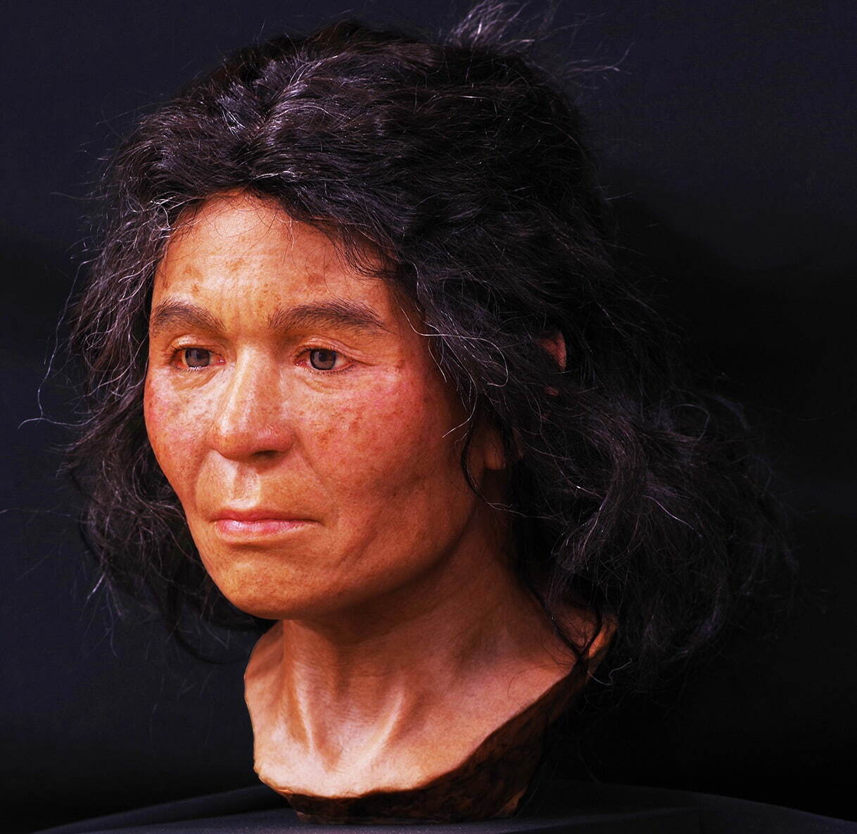 特別展「古代DNAー日本人のきた道ー」東京・国立科学博物館で、最新DNA研究から日本人のルーツを探る｜写真1