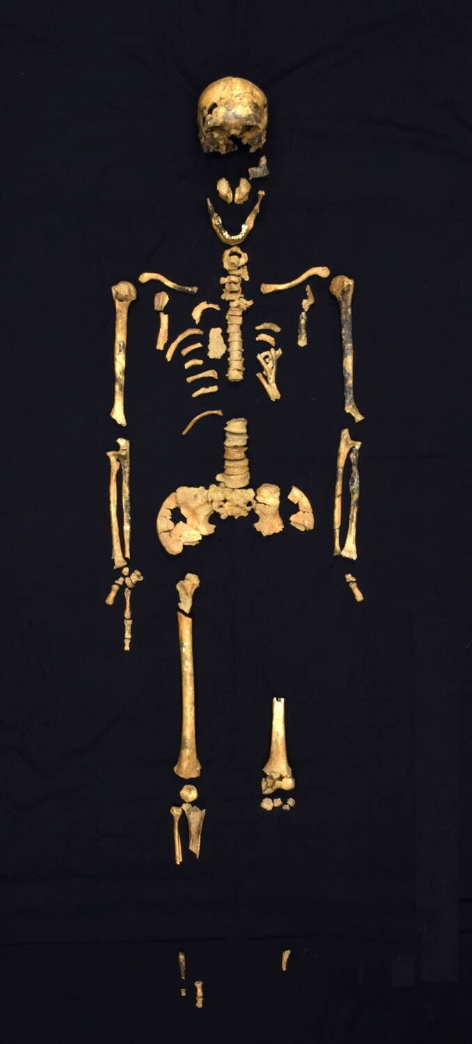 特別展「古代DNAー日本人のきた道ー」東京・国立科学博物館で、最新DNA研究から日本人のルーツを探る｜写真4