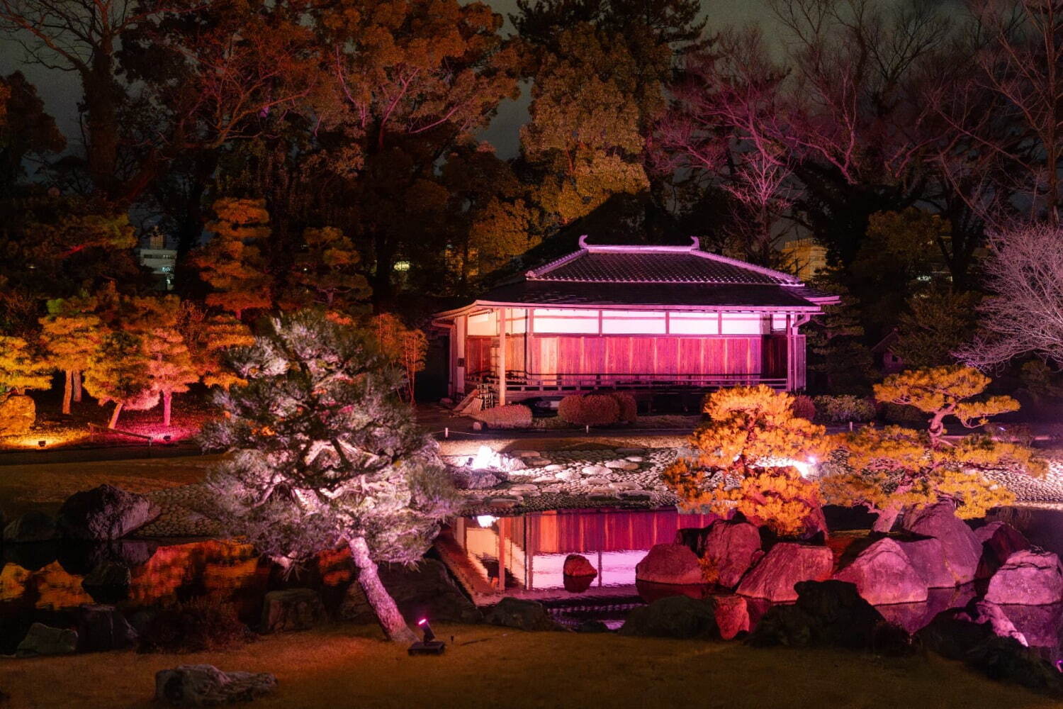 京都・二条城×ネイキッドの桜アートイベント、夜桜ライトアップと楽しむ花見ピクニック＆飲食屋台｜写真8