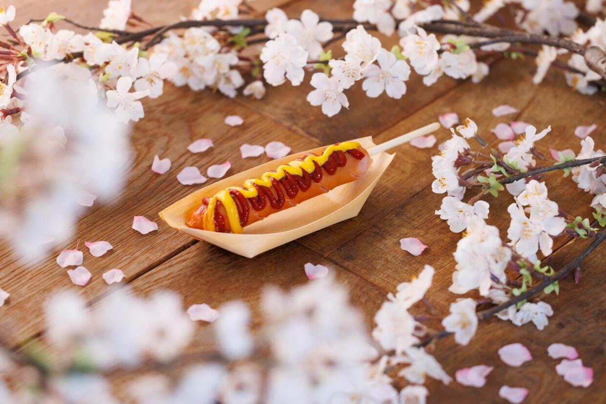 京都・二条城×ネイキッドの桜アートイベント、夜桜ライトアップと楽しむ花見ピクニック＆飲食屋台｜写真18