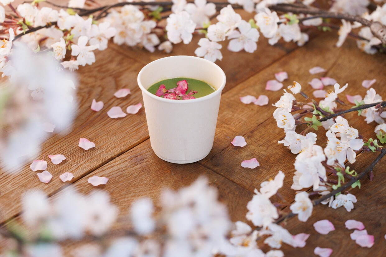 京都・二条城×ネイキッドの桜アートイベント、夜桜ライトアップと楽しむ花見ピクニック＆飲食屋台｜写真13
