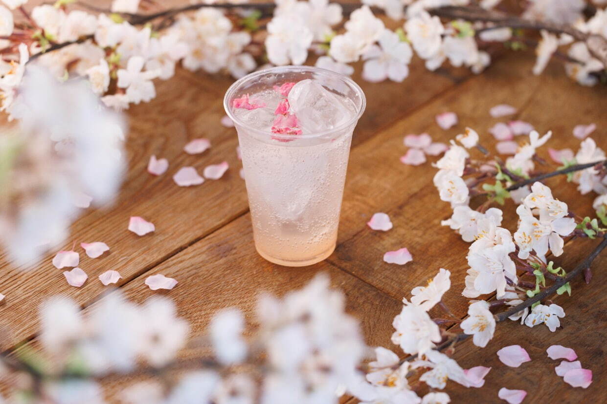 京都・二条城×ネイキッドの桜アートイベント、夜桜ライトアップと楽しむ花見ピクニック＆飲食屋台｜写真11