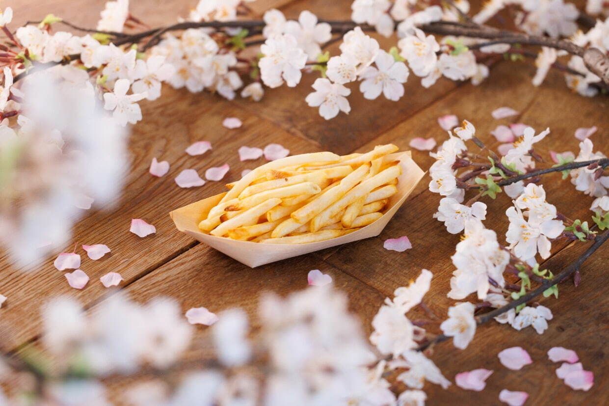 京都・二条城×ネイキッドの桜アートイベント、夜桜ライトアップと楽しむ花見ピクニック＆飲食屋台｜写真17