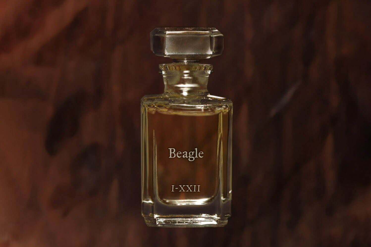フエギア 1833(FUEGUIA 1833) プーラエッセンシア｜写真9
