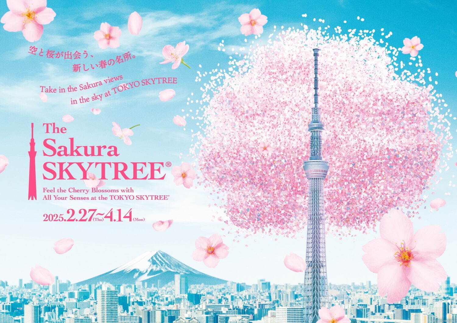 「東京スカイツリー」天望デッキを桜で彩る春イベント、桜カクテルや特別ライティングも｜写真5