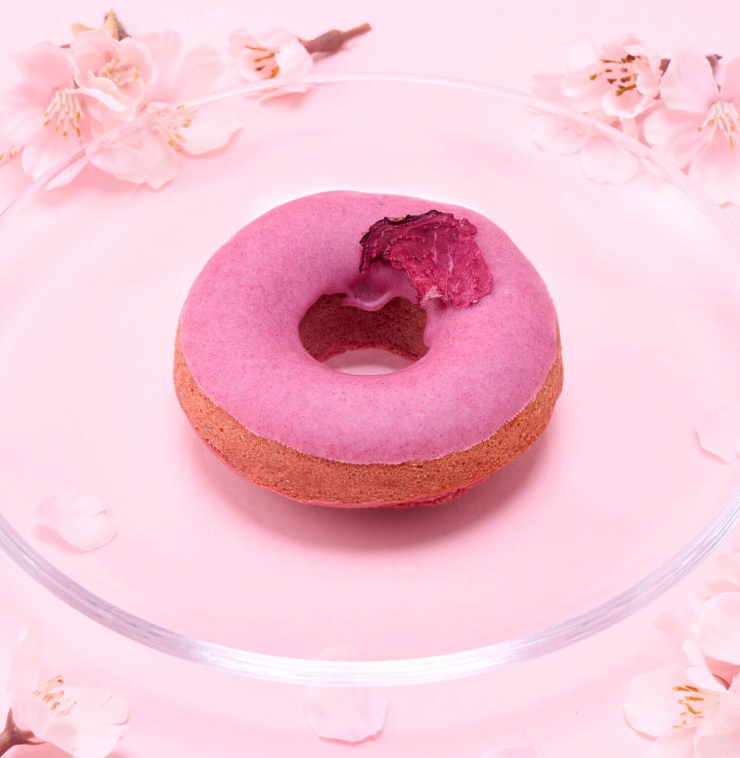 「東京スカイツリー」天望デッキを桜で彩る春イベント、桜カクテルや特別ライティングも｜写真11