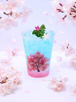 「東京スカイツリー」天望デッキを桜で彩る春イベント、桜カクテルや特別ライティングも｜写真7