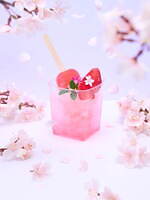 「東京スカイツリー」天望デッキを桜で彩る春イベント、桜カクテルや特別ライティングも｜写真9