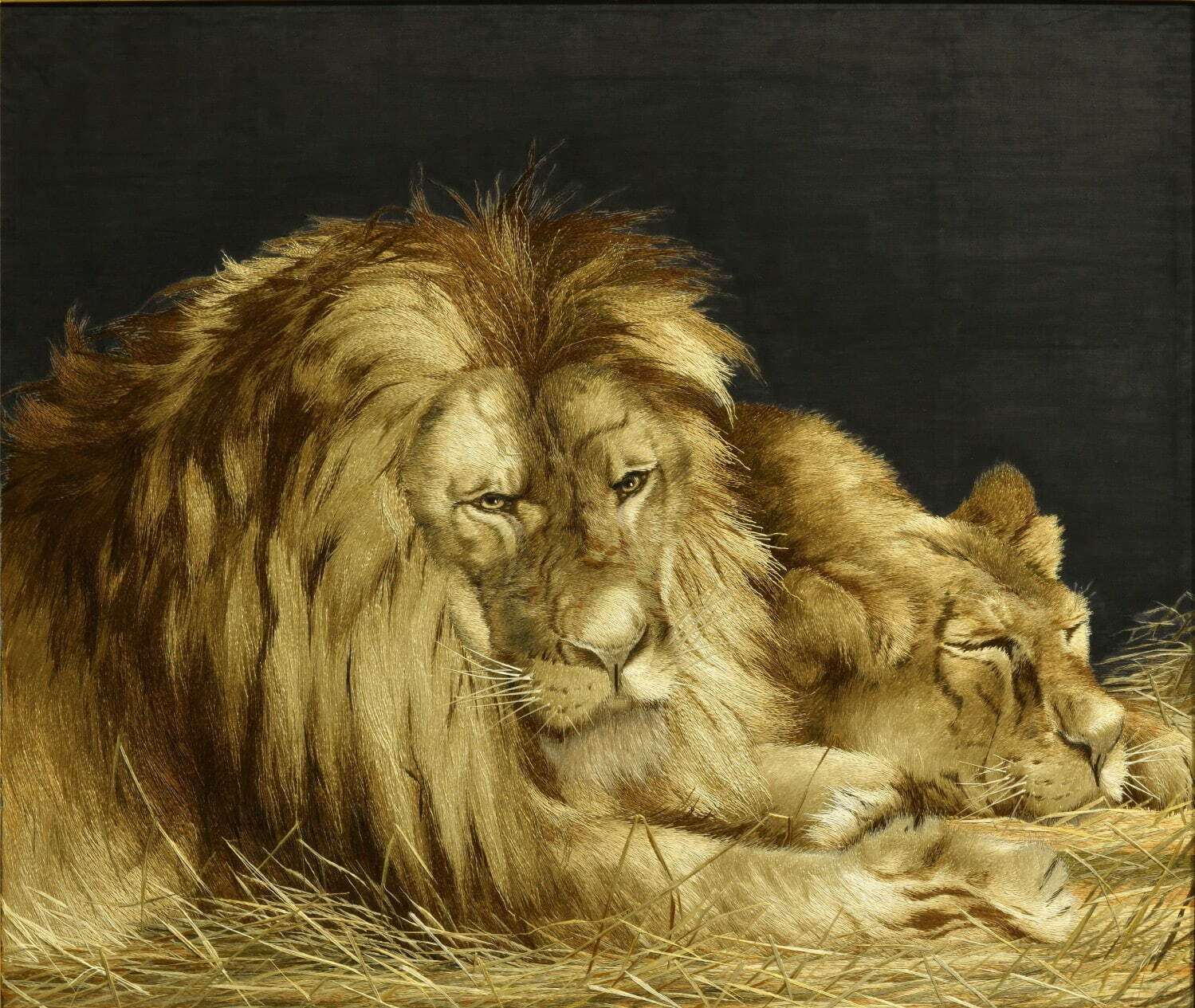 作者未詳 刺繍《獅子図》 明治時代中期-大正時代初期
高島屋史料館蔵 ［第I部展示］