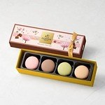 ゴディバ(GODIVA) サブレショコラ マカロンショコラ｜写真14