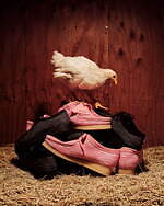 ボット(BoTT), クラークス(Clarks) ワラビー｜写真5