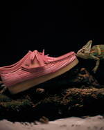 ボット(BoTT), クラークス(Clarks) ワラビー｜写真9