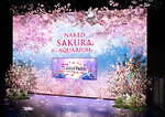 マクセル アクアパーク品川×ネイキッドの春イベント、桜舞うイルカショーなど水族館で“花見アート”体験｜写真1