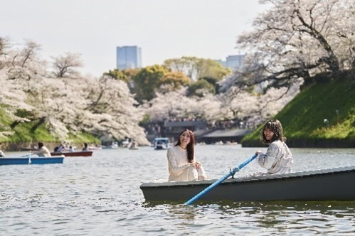 花見イベント「千代田のさくらまつり」千鳥ヶ淵緑道で、水上ボートで望む夜桜ライトアップ｜写真4