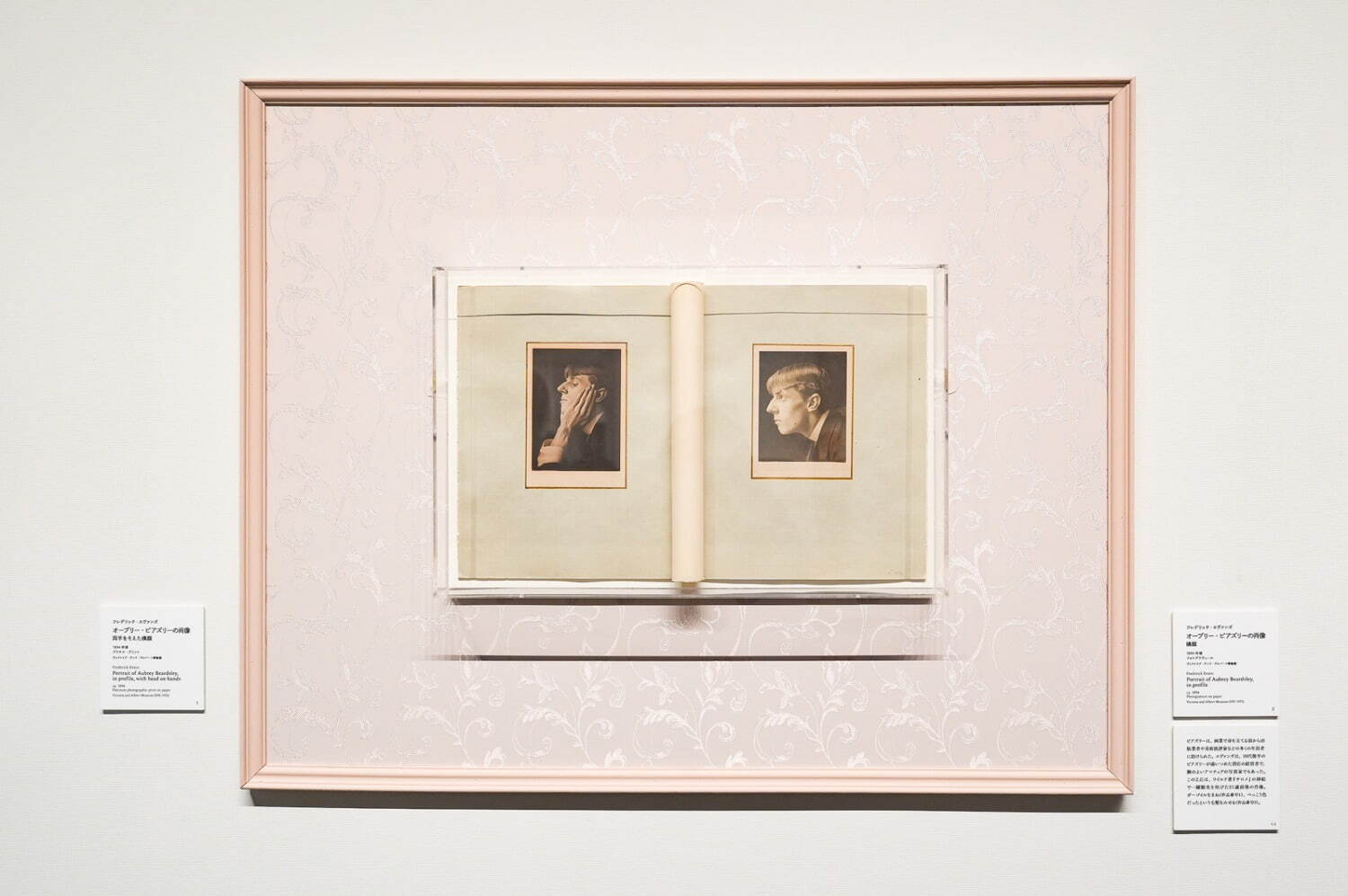 展覧会「異端の奇才——ビアズリー」展示風景 三菱一号館美術館 2025年