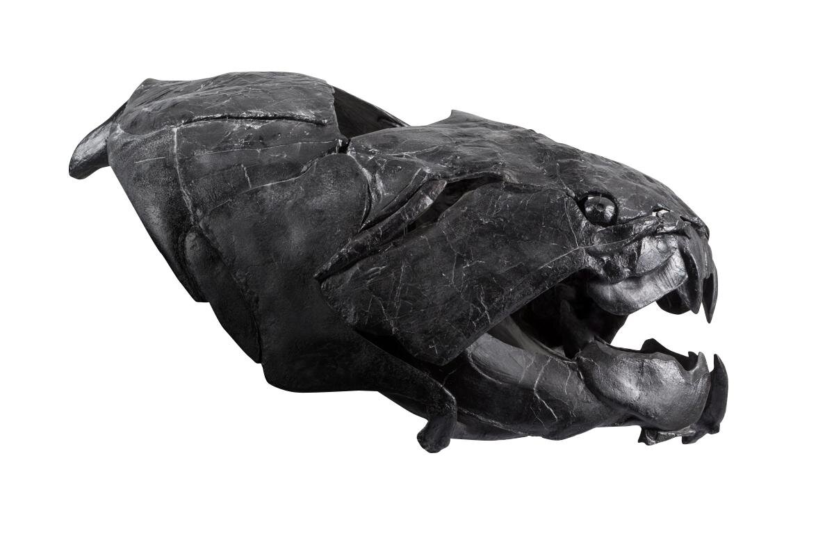 「大絶滅展ー生命史のビッグファイブ」東京・国立科学博物館で、地球上で5度訪れた“生命の危機”に迫る｜写真8