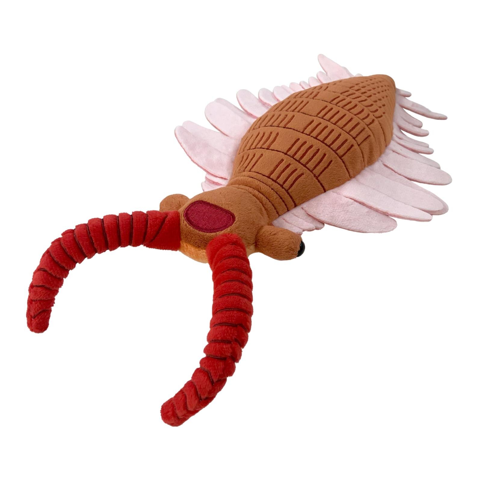 「大絶滅展ー生命史のビッグファイブ」東京・国立科学博物館で、地球上で5度訪れた“生命の危機”に迫る｜写真30