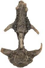 「大絶滅展ー生命史のビッグファイブ」東京・国立科学博物館で、地球上で5度訪れた“生命の危機”に迫る｜写真21