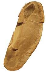 「大絶滅展ー生命史のビッグファイブ」東京・国立科学博物館で、地球上で5度訪れた“生命の危機”に迫る｜写真10