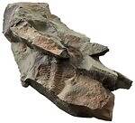 「大絶滅展ー生命史のビッグファイブ」東京・国立科学博物館で、地球上で5度訪れた“生命の危機”に迫る｜写真7