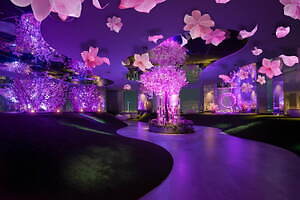 池袋 サンシャイン60展望台「さくらまつり」桜の花びらプールやフォトスポット、春限定いちごスイーツも|写真6