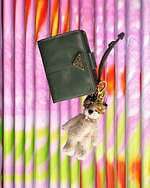 プラダ“ヴィンテージ風”レディース革財布、三つ折りやカードケースにグリーンやベージュの新色｜写真4