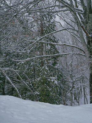 アンスリード(UN3D.) 2024-25年秋冬ウィメンズコレクション  - 写真56